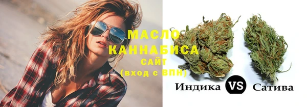 шишки Верея