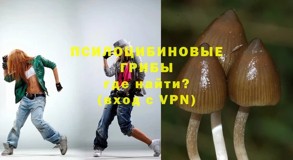 шишки Верея