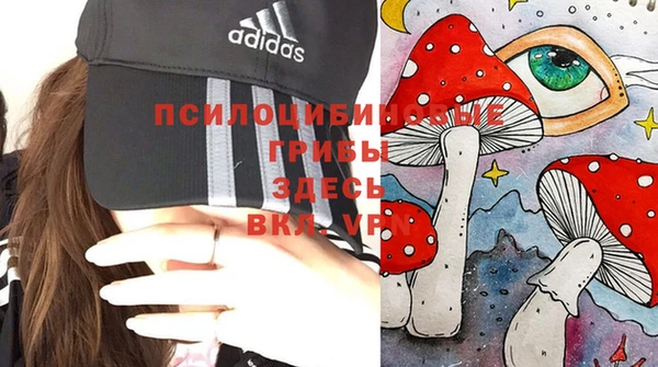 стаф Верхний Тагил