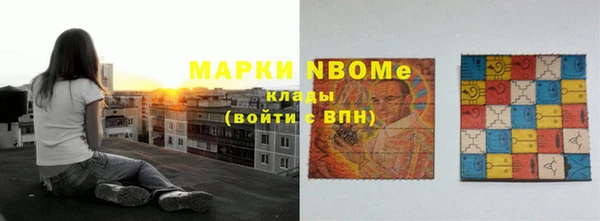 шишки Верея