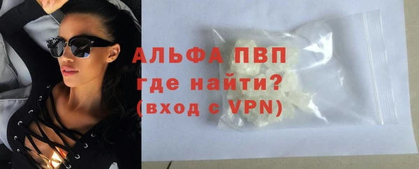 шишки Верея