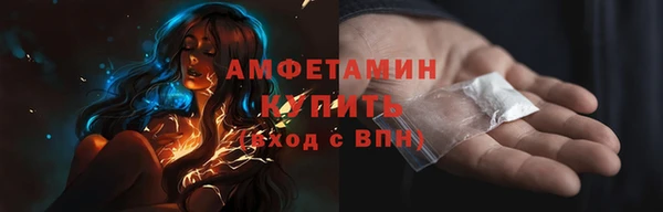 шишки Верея