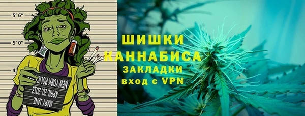 шишки Верея