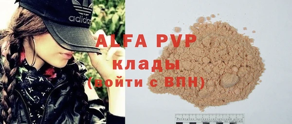 шишки Верея