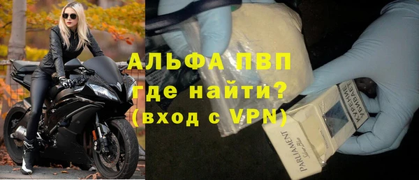 шишки Верея
