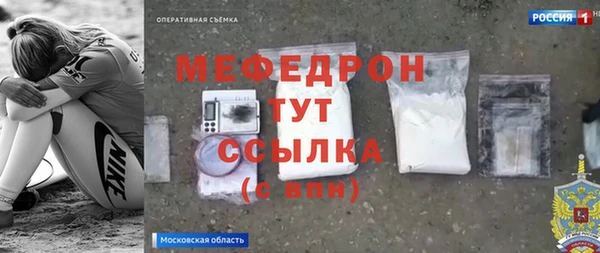 шишки Верея